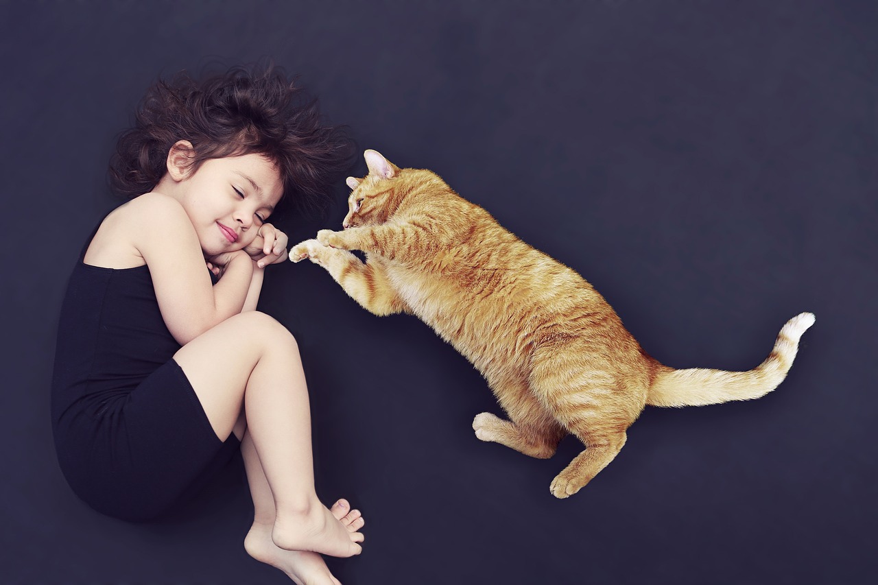baby sitter auto entreprise